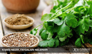 Ki Ni Nedir Ki Ni Faydalar Nelerdir Spor Ve Beslenme