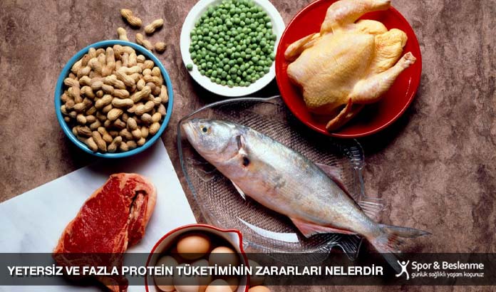 yetersiz ve fazla protein tüketiminin zararları nelerdir